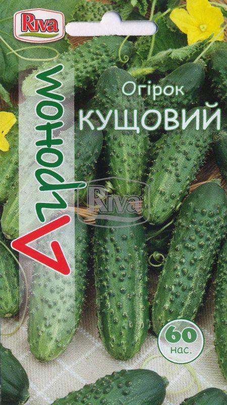 Насіння огірків Кущовий ранньостиглий Агроном 60 шт