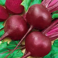 Буряк столовий Червона куля насіння Агроном 10 г