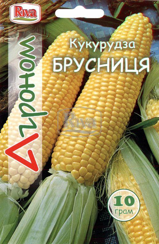 Насіння кукурудзи Брусниця Агроном 10г