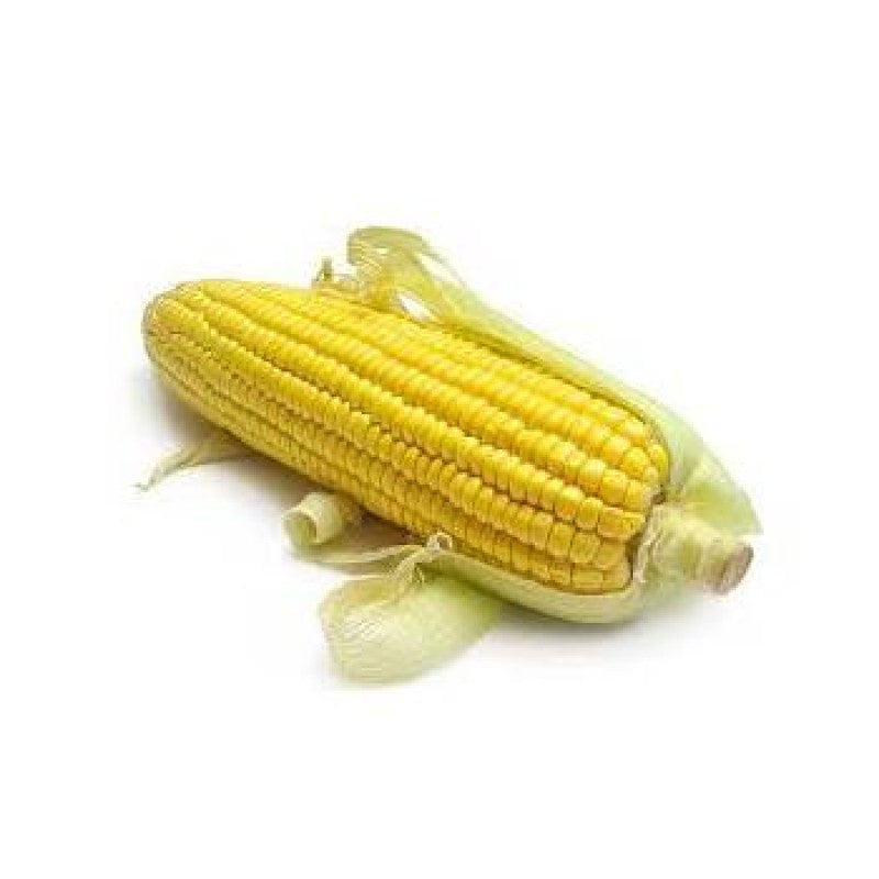 Насіння кукурудзи Брусниця Агроном 10г