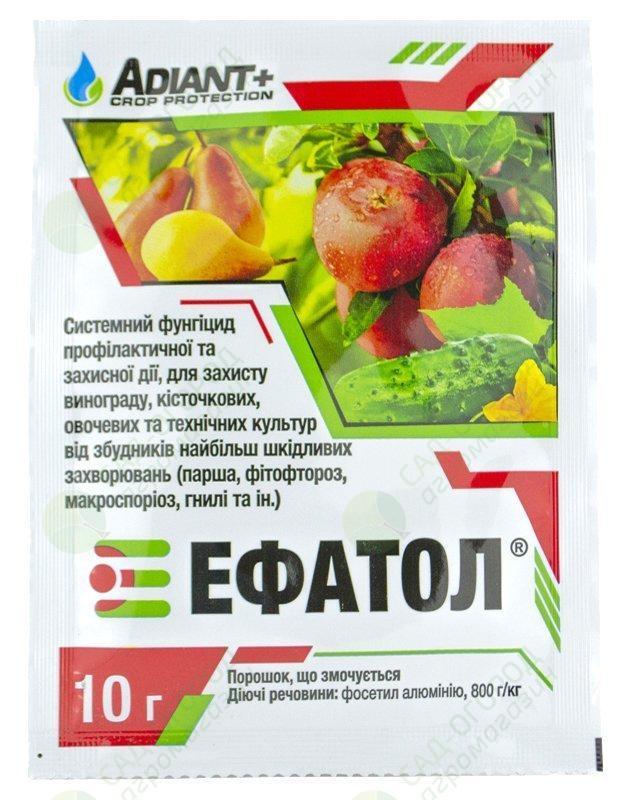 Фунгіцид Ефатол для огірків та цибулі 10 г