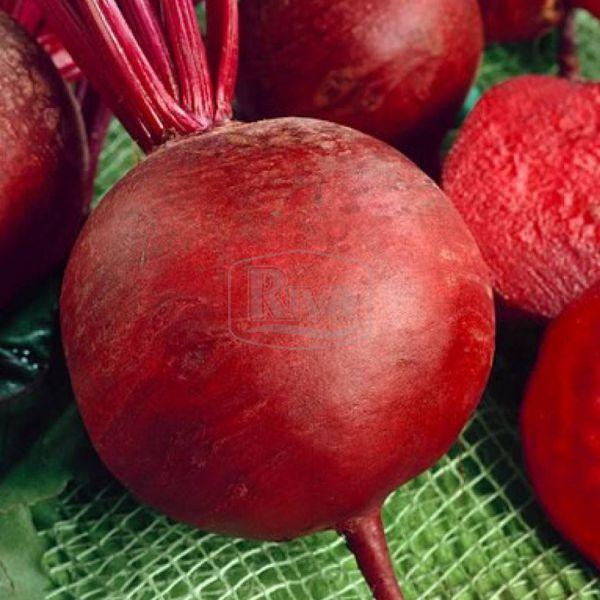 Буряк столовий Бордо насіння Агроном 10г