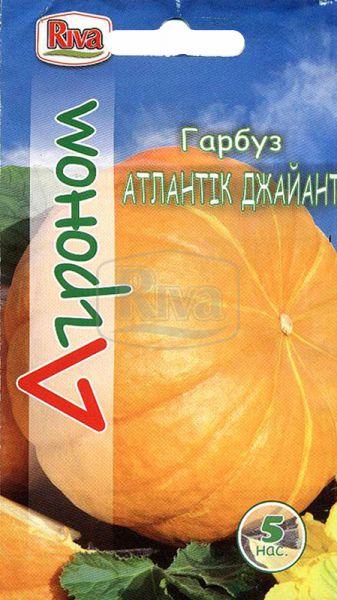 Гарбуз Атлантік Джайант насіння Агроном 5 шт
