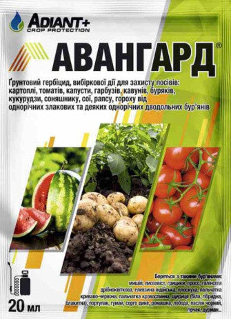 Гербіцид Авангард від бур'янів для картоплі, томатів, капусти, гарбуза, буряків, сої, кукурудзи 20 мл на 1 сотку