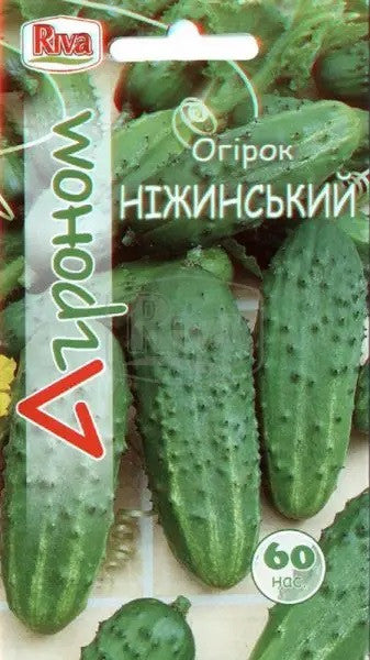 Огірок Ніжинський Агроном 60 насінин