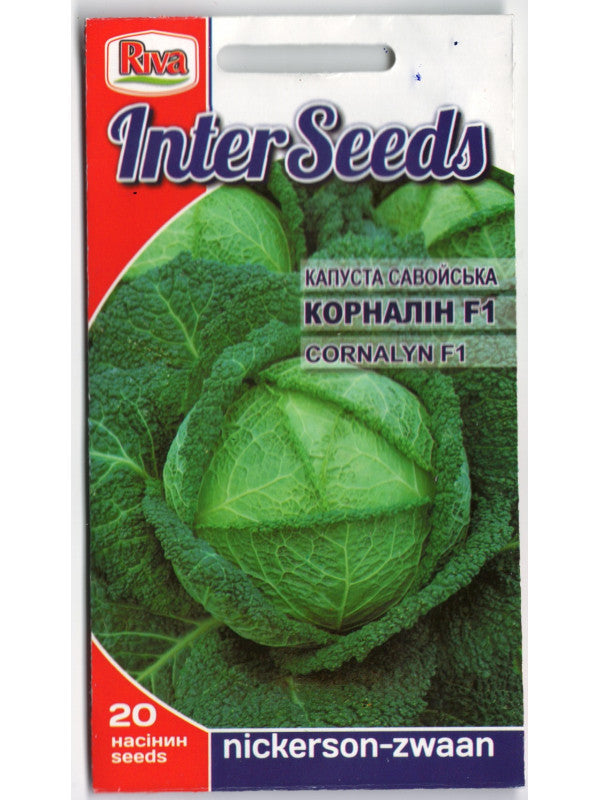 Савойська капуста Корналін 20 шт Inter Seeds Нідерланди