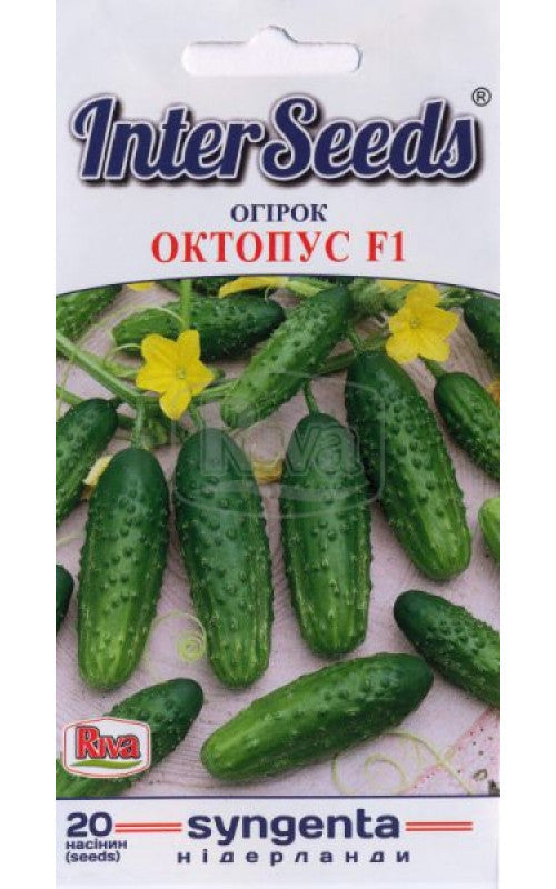 Огірок Октопус насіння Inter Seeds 10 насінин