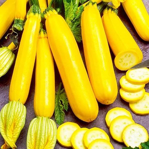 Кабачок  Золотинка 20 шт насіння Агроном