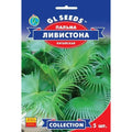 Пальма китайська Лівістона GL Seeds 5 шт