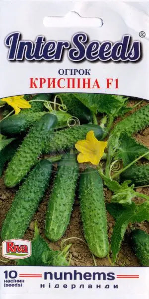 Огірок Криспіна F1 10 шт Inter Seeds
