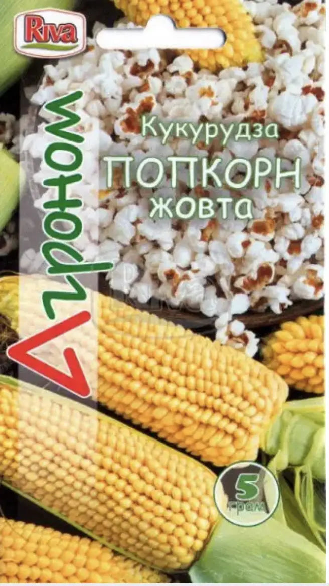 Насіння кукурудзи Поп Корн